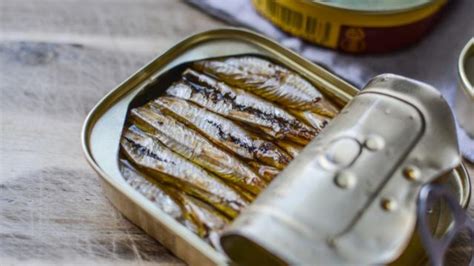 sardinas en lata - protector solar en barra